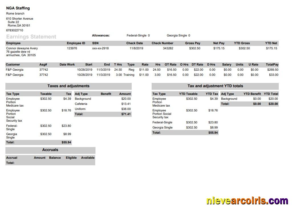 NGA Staffing pay stub